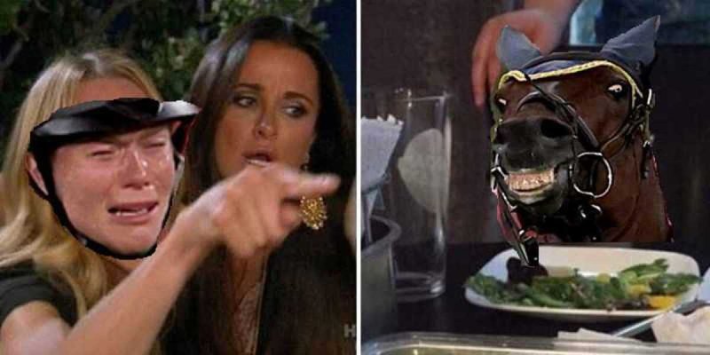 Анника Шлеу