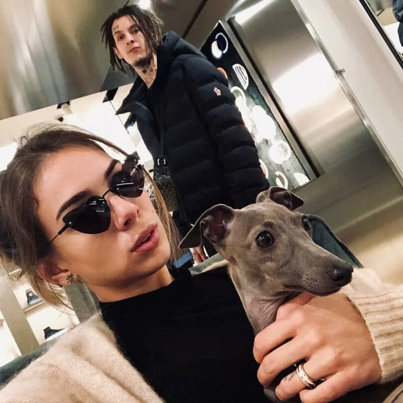 Собака кизару порода