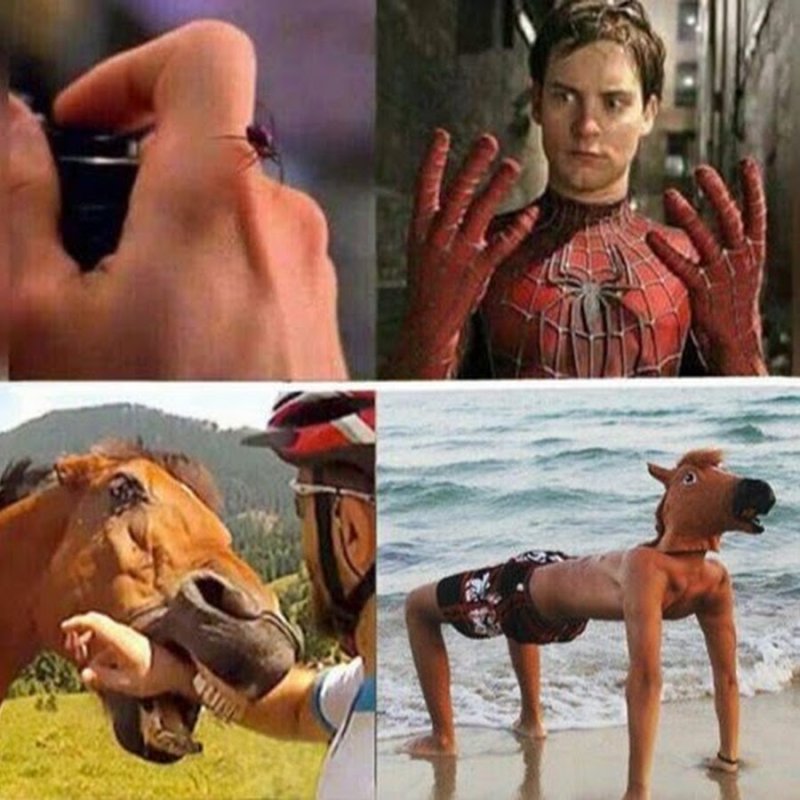 Паук который укусил Питера Паркера