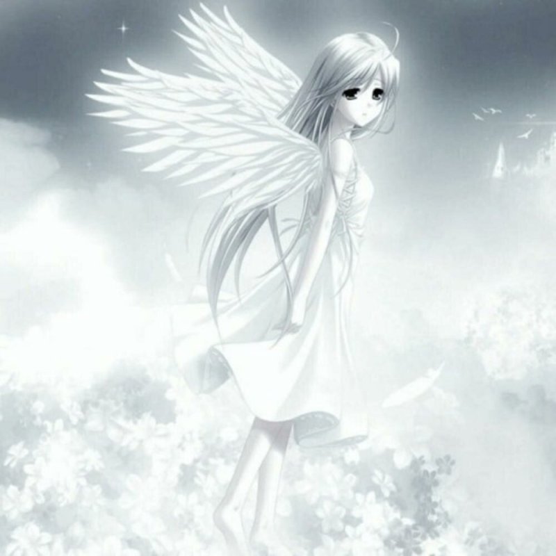 Аниме ангел Энджел любовь