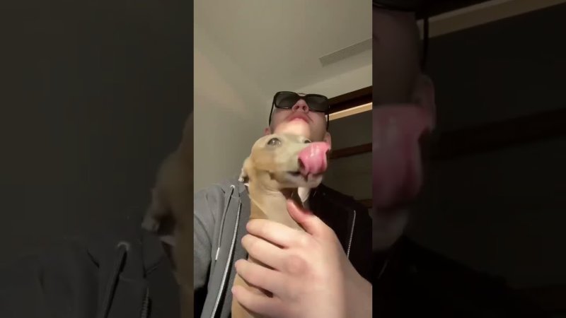 Биг бэби тейп с собакой