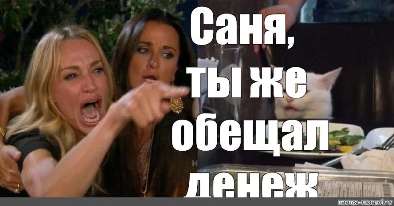 Мемы с Кэмерон Диаз и котом