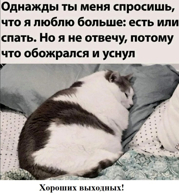 Обожрался и спит