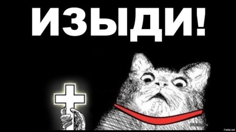 Кот с крестом