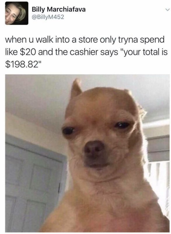 Мемы с собаками