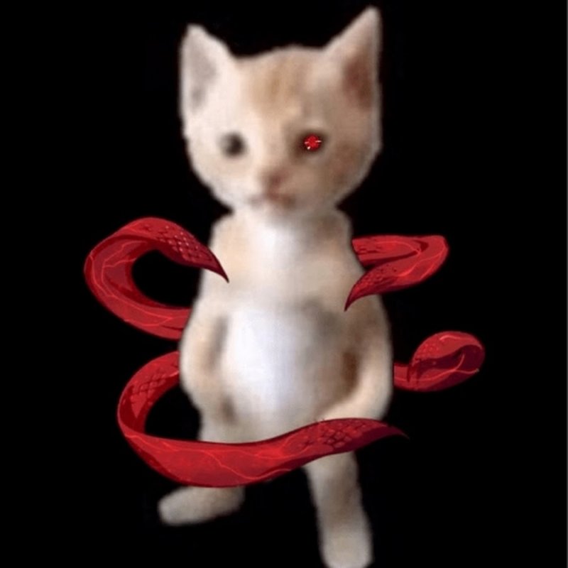 Кот стоит Мем