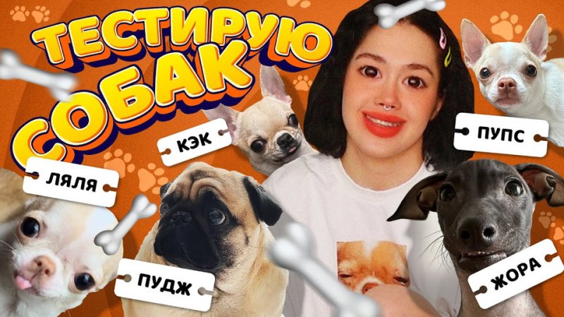 Ляля собака