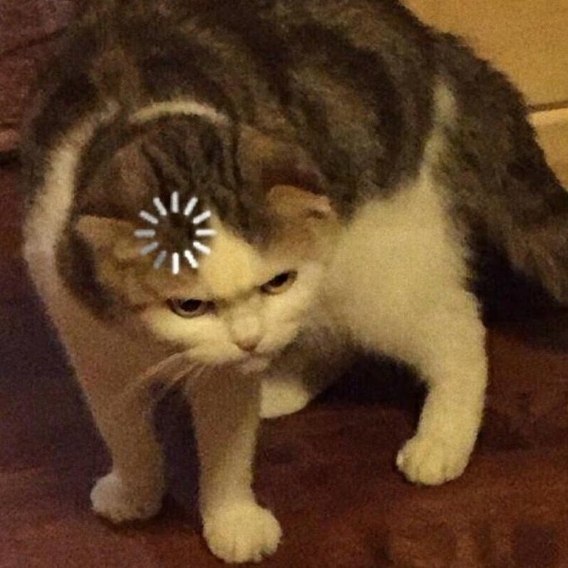Кот загрузка Мем
