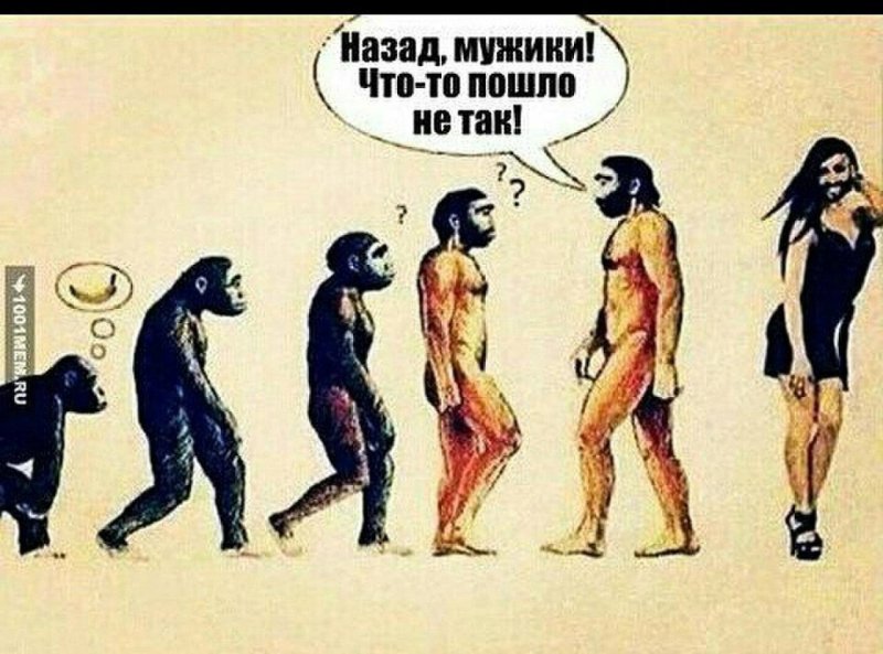 Эволюция картинки приколы