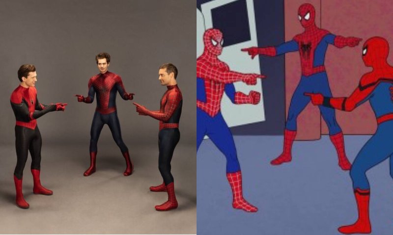 Друг человека паука