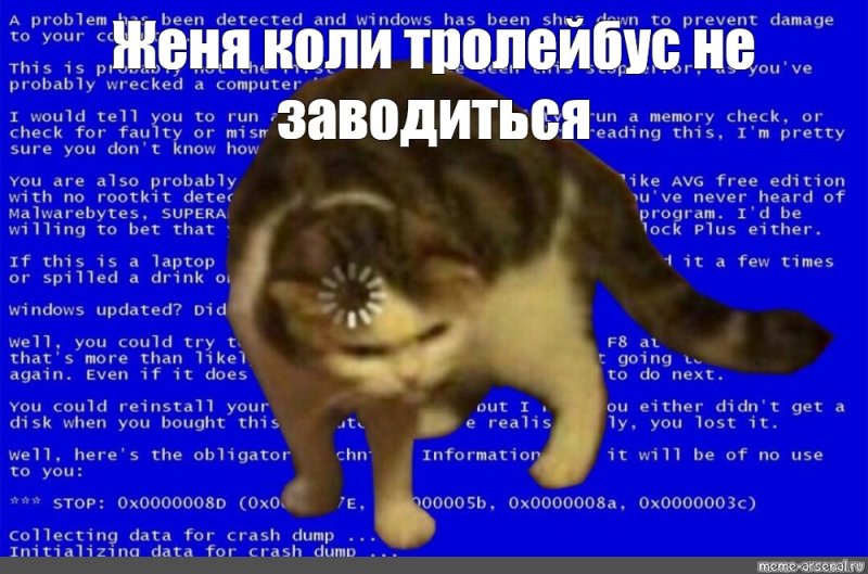 Котик загрузка