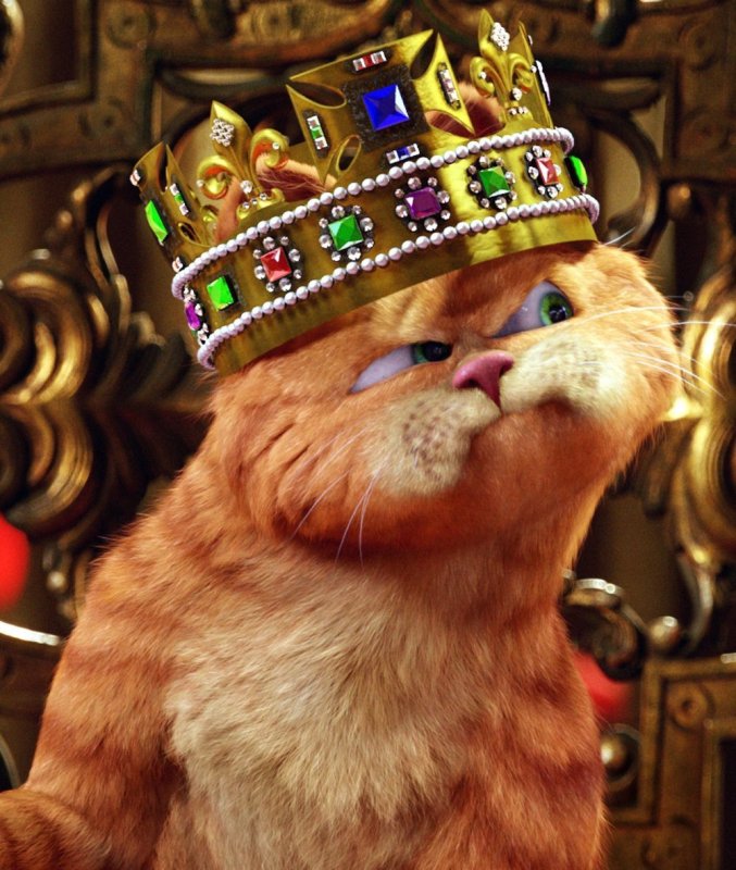 Кот в короне