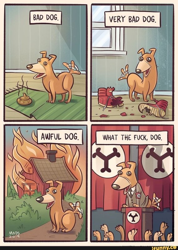 Плохой мальчик собака