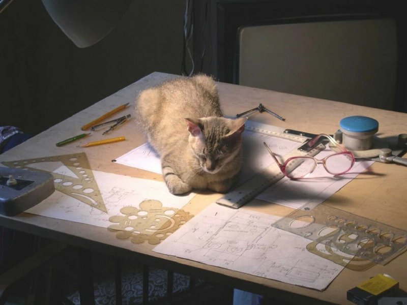 Кот проектировщик