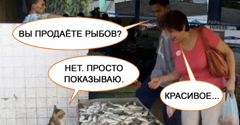 Мем с котами и рыбой