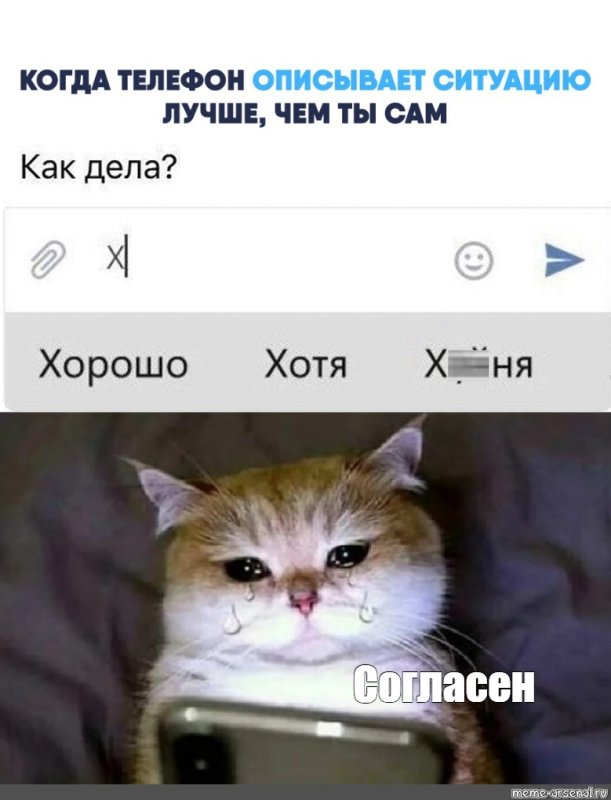 Котик загружается