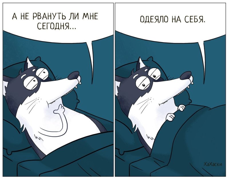 Шутки про одеяло