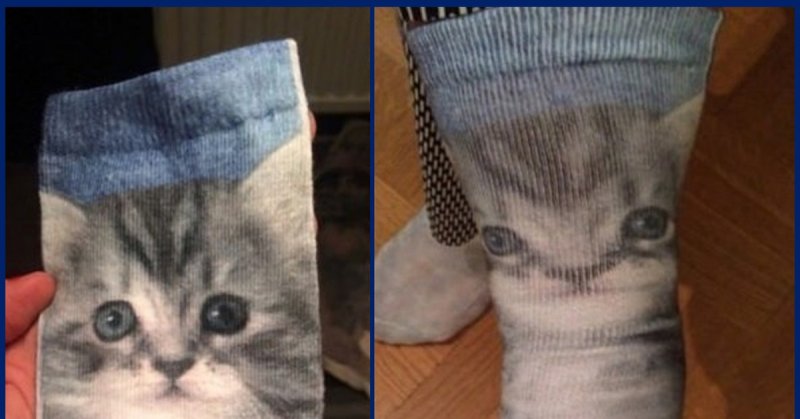 Кот носок Мем ава