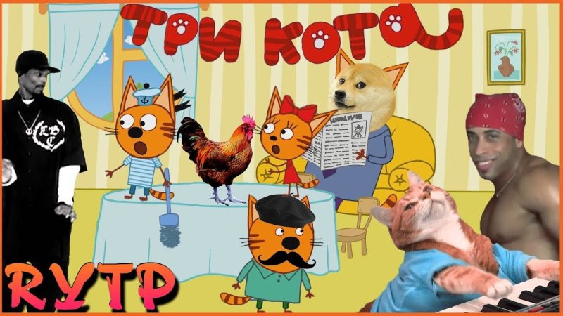 Пуп три кота