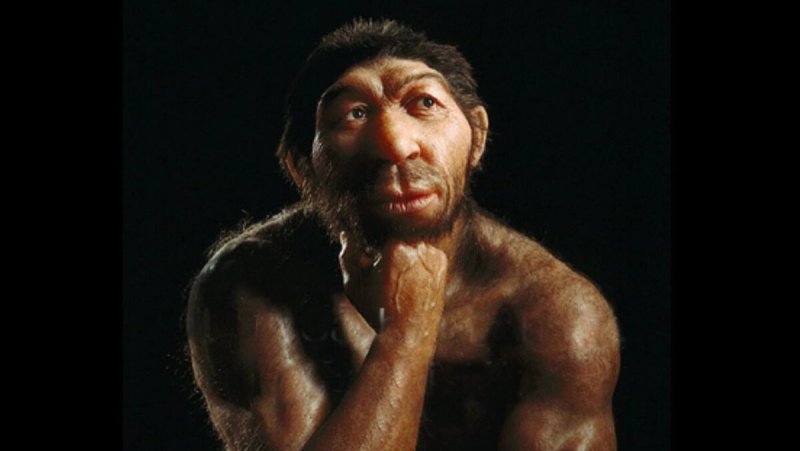 Древний человек хомо сапиенс