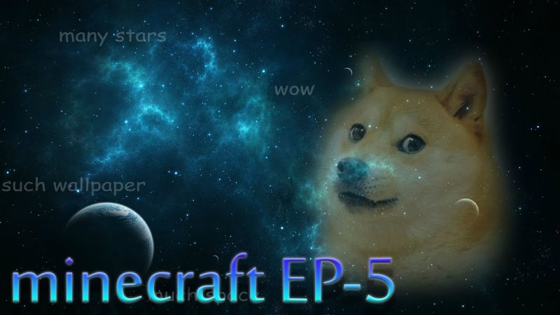 Доги в космосе