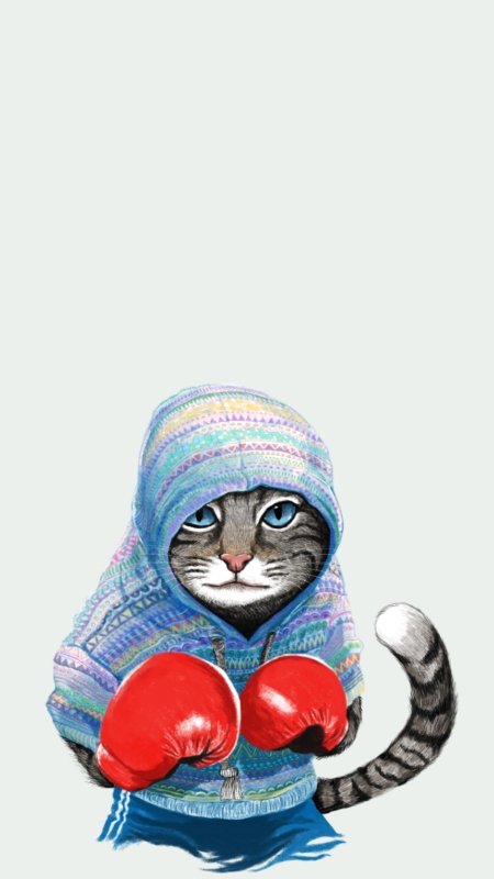 Зайка боксер