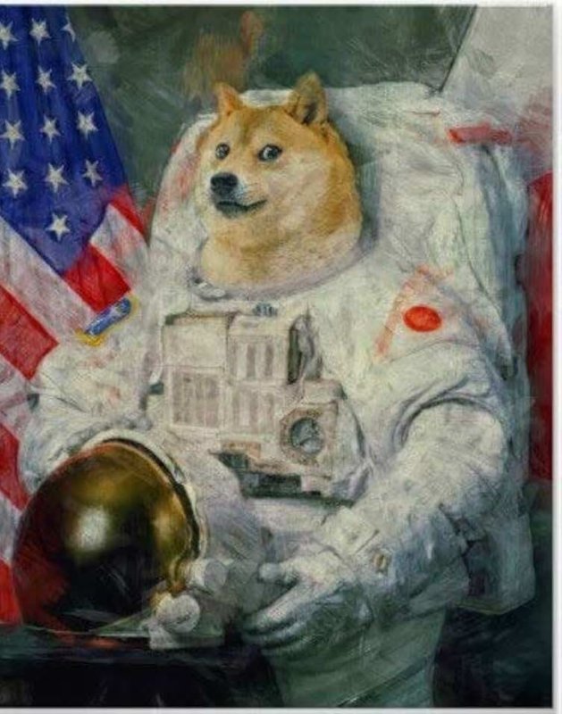 Doge 4k