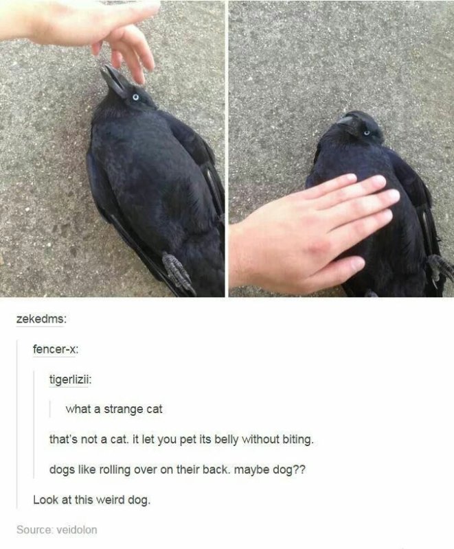 Ворона давай погавкай