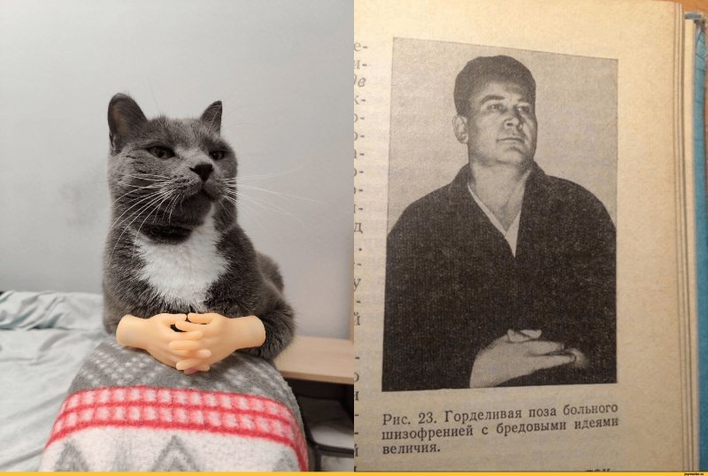 Больной с манией величия