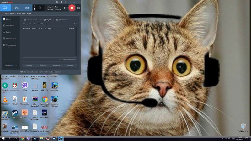 Кошка удивляется