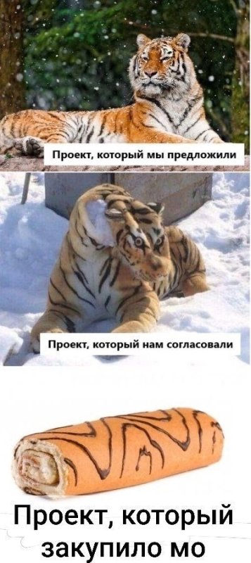 Мем тигр рулет проект