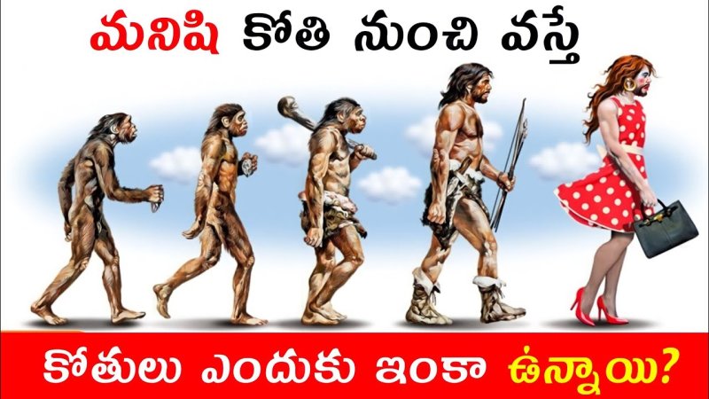 Эволюция человека хомо сапиенс