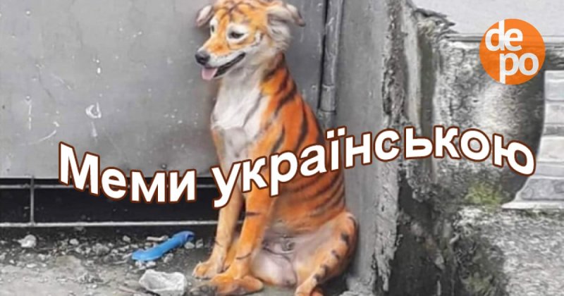 Собаку разрисовали в тигра