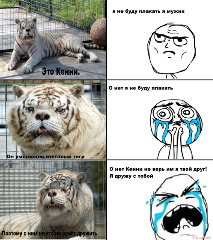 Мемы про тигра