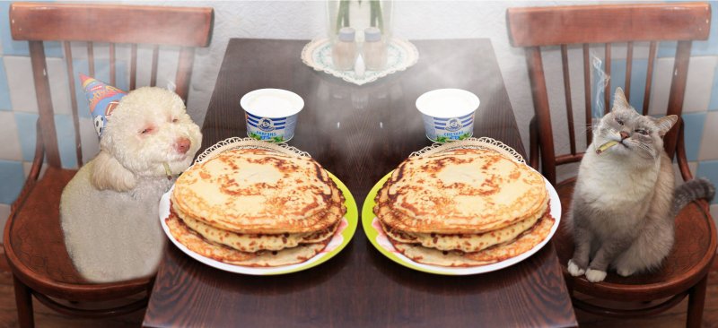 Кот с блинами и сметаной