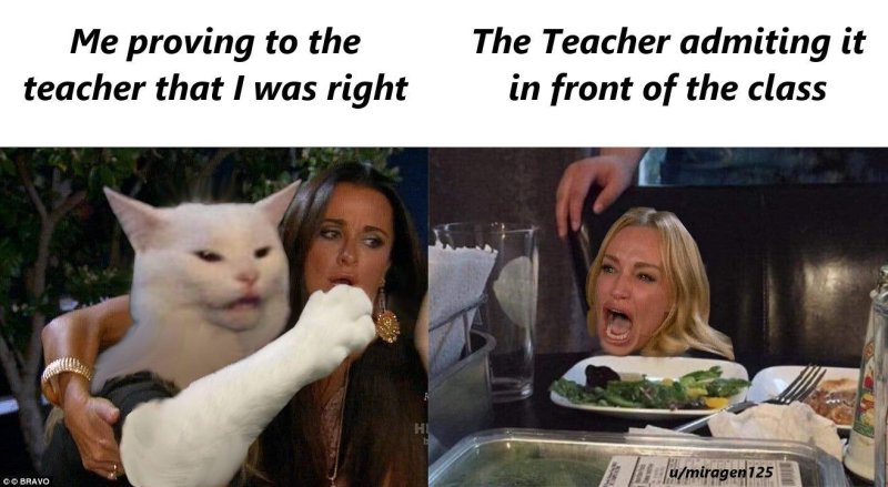 Кот и две девушки оригинал