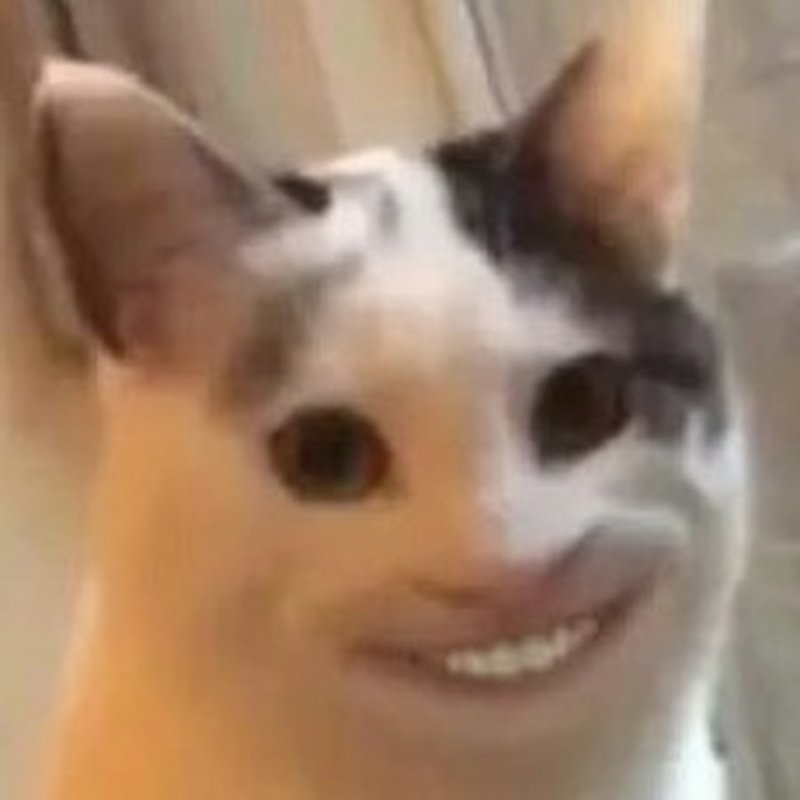 Кот ехидно улыбается с клыком