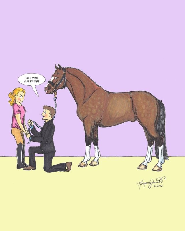 Лошадь юмор