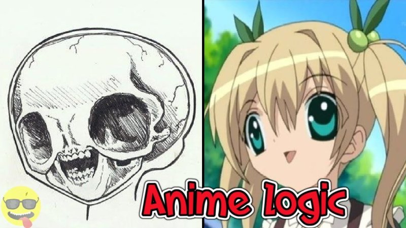 Аниме логика