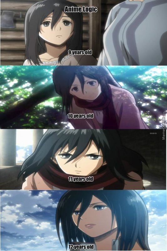 Attack on Titan Mikasa meme