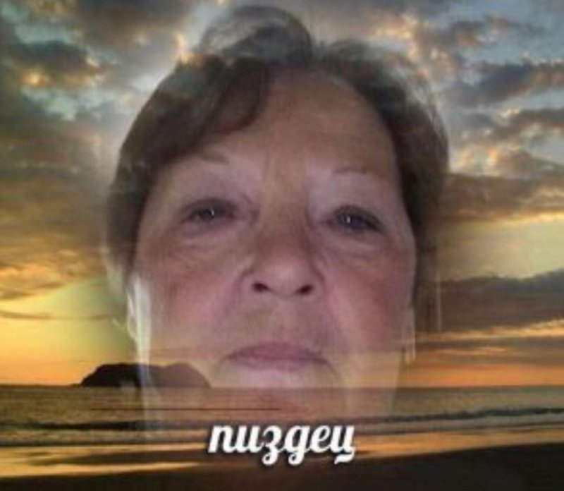 Бабка и кот