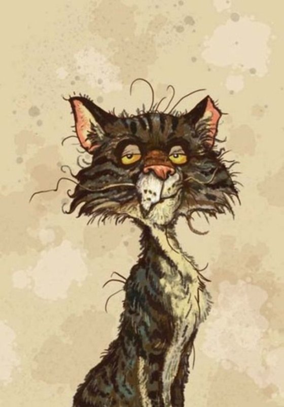 Облезлый кот