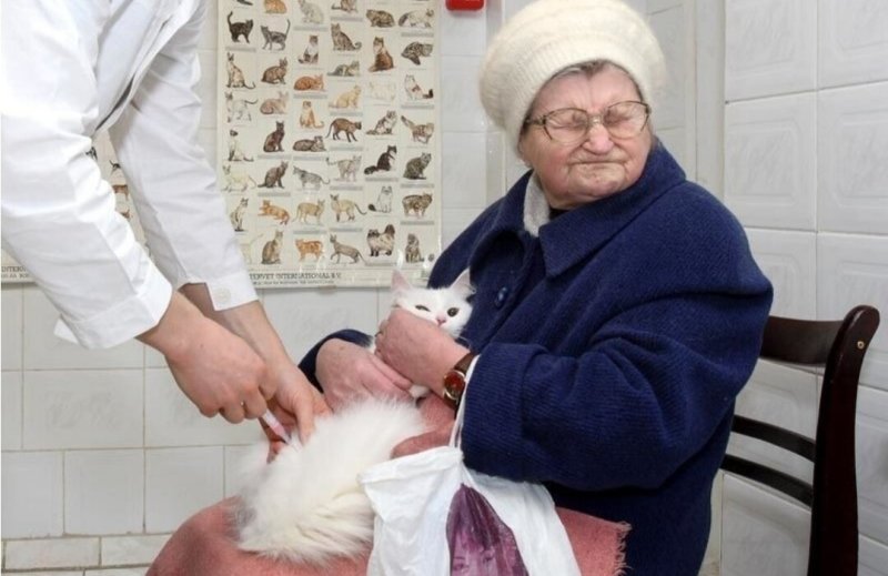 Бабушка с котом