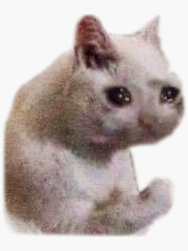 Плачущий кот с лапкой