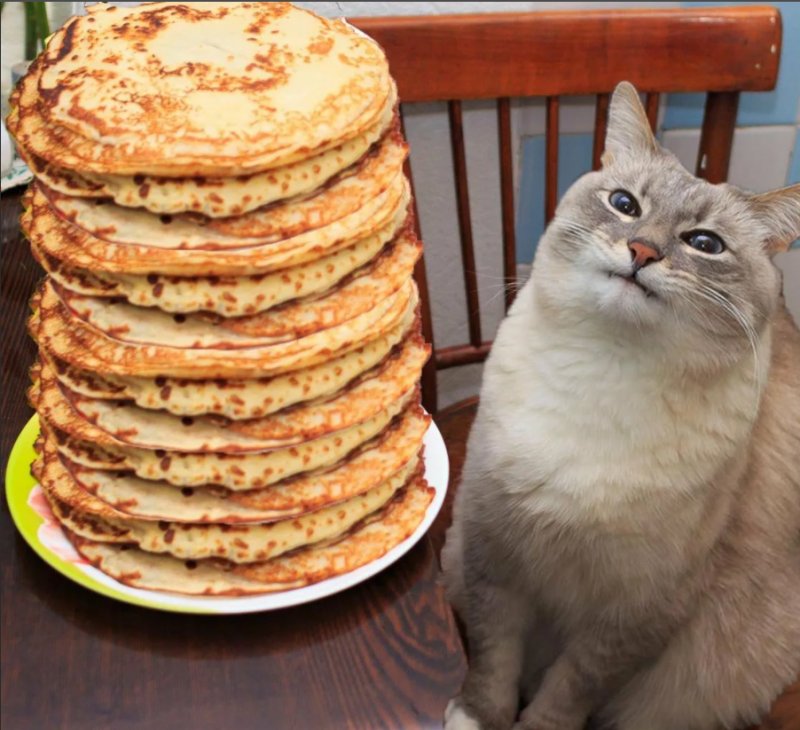 Кот с блинами и сметаной