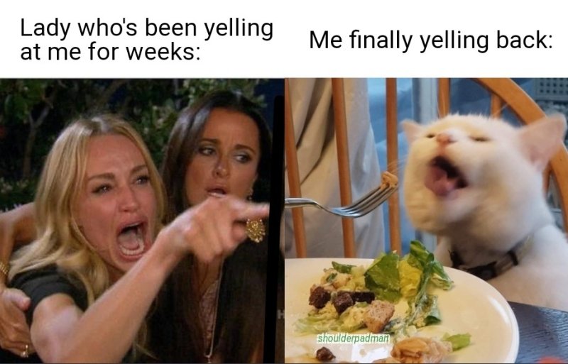 Женщина орет на кота