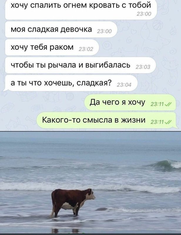 Смешные переписки фото
