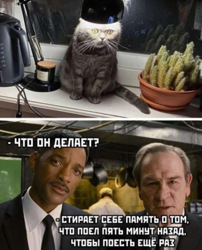 Смешные мемы