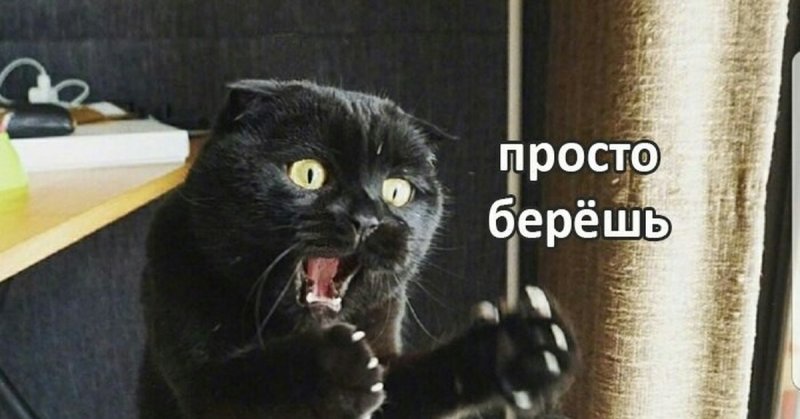 Кот показывает кулак