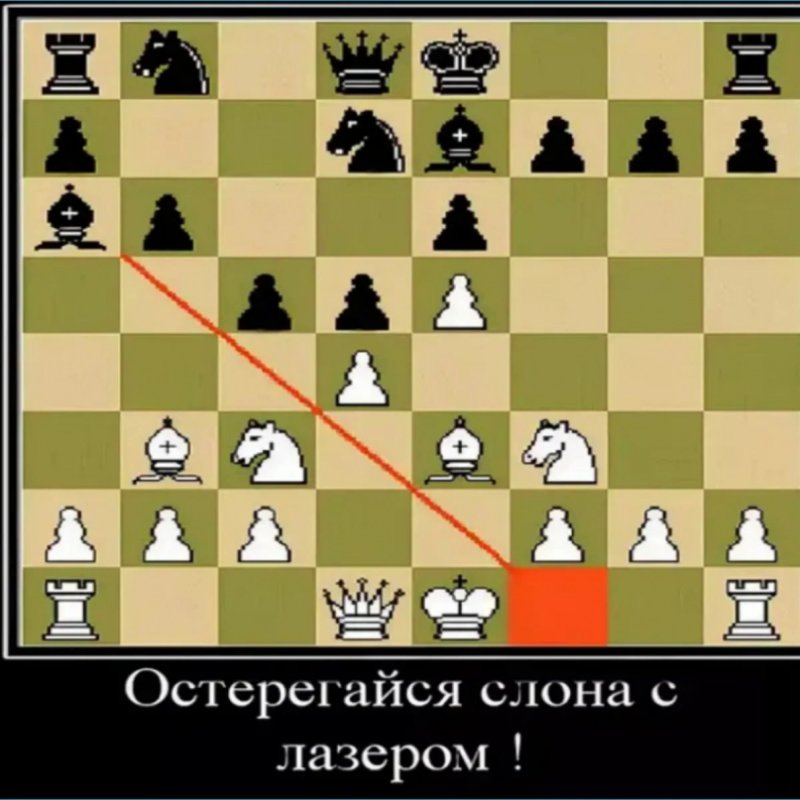 Шахматные шутки приколы